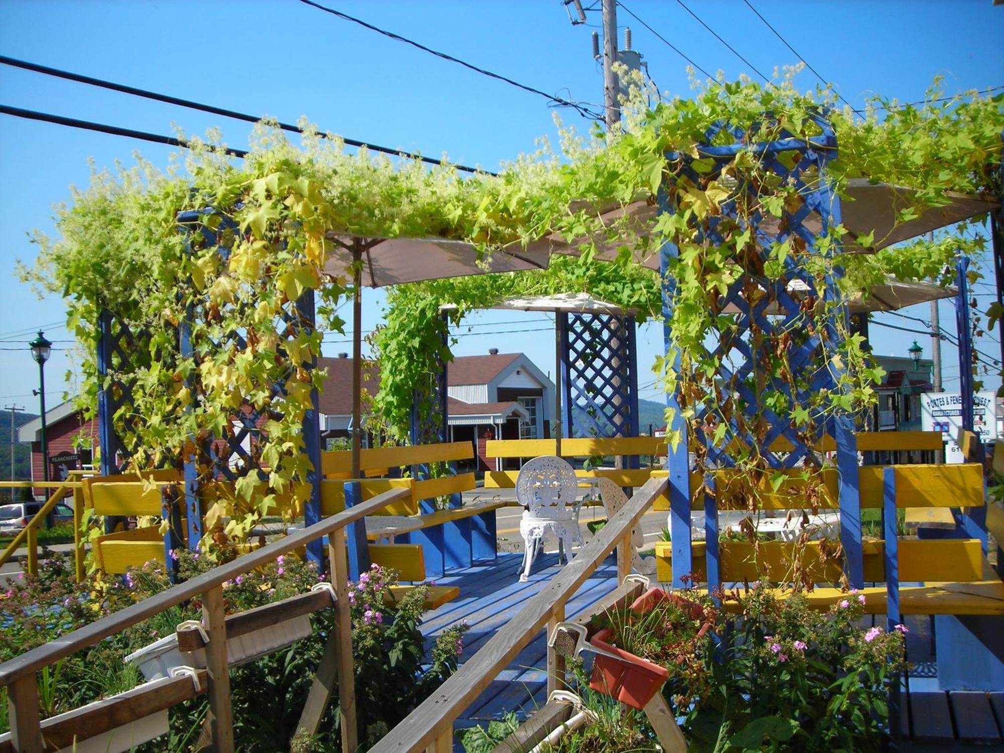 Gite Des Hauteurs Et Cafe De La Place Saint Zenon Екстериор снимка